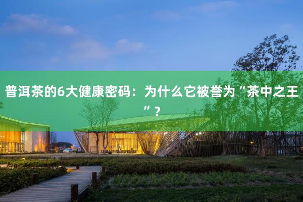 普洱茶的6大健康密码：为什么它被誉为“茶中之王”？