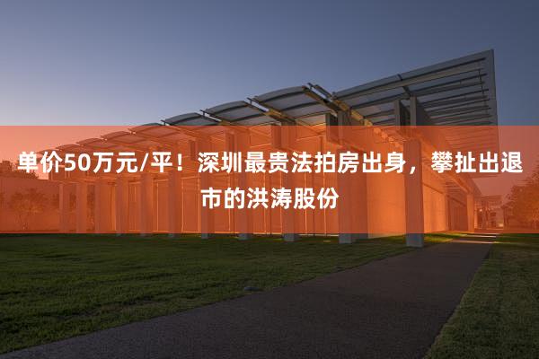 单价50万元/平！深圳最贵法拍房出身，攀扯出退市的洪涛股份