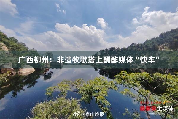 广西柳州：非遗牧歌搭上酬酢媒体“快车”