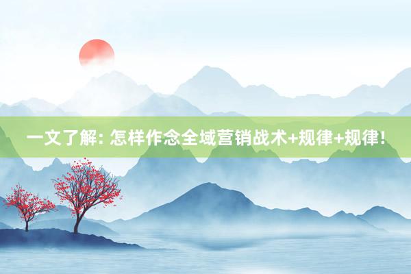 一文了解: 怎样作念全域营销战术+规律+规律!