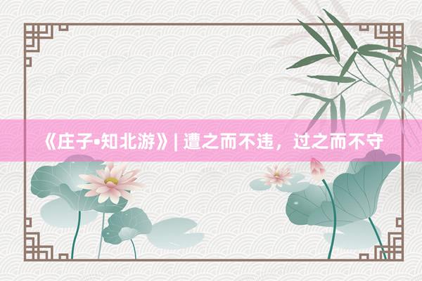 《庄子•知北游》| 遭之而不违，过之而不守