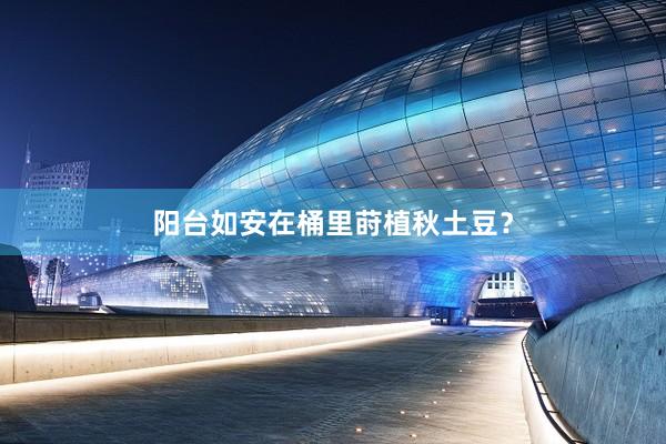 阳台如安在桶里莳植秋土豆？