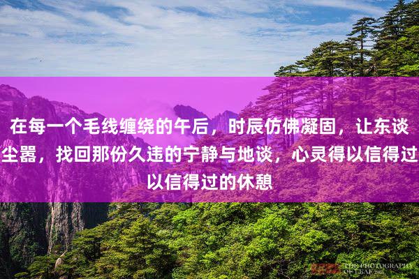 在每一个毛线缠绕的午后，时辰仿佛凝固，让东谈主忘却尘嚣，找回那份久违的宁静与地谈，心灵得以信得过的休憩