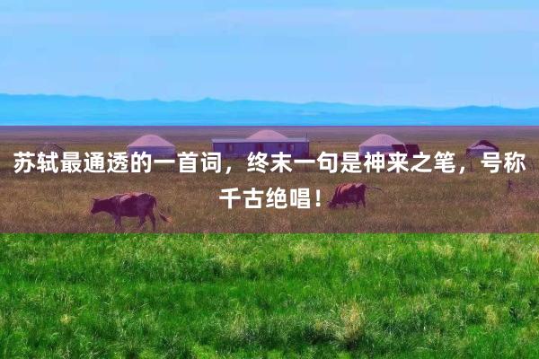 苏轼最通透的一首词，终末一句是神来之笔，号称千古绝唱！