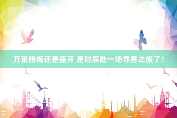 万亩腊梅还是盛开 是时辰赴一场寻香之旅了！