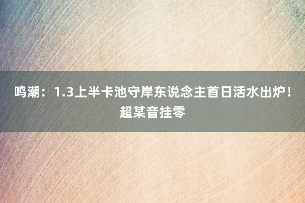 鸣潮：1.3上半卡池守岸东说念主首日活水出炉！超某音挂零