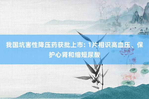 我国坑害性降压药获批上市: 1片相识高血压、保护心肾和缩短尿酸