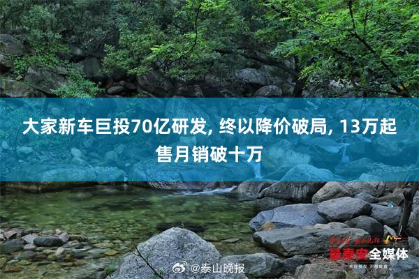 大家新车巨投70亿研发, 终以降价破局, 13万起售月销破十万