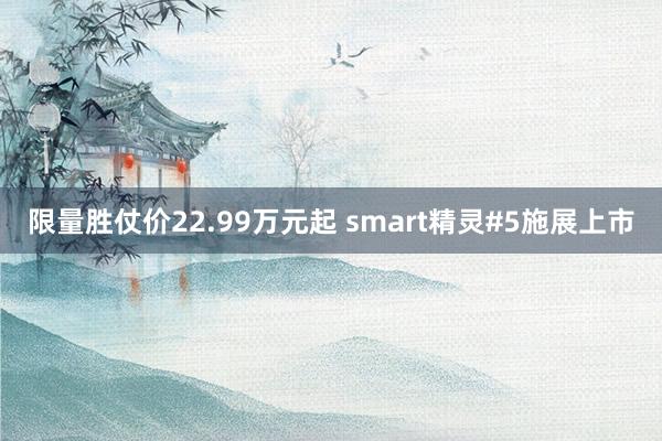 限量胜仗价22.99万元起 smart精灵#5施展上市